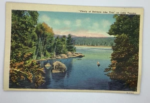 Postcard Lake Texoma Retreat Forest Shoreline Texas H292 - Bild 1 von 2