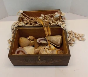 Treasure Chest of Seashells; Wooden Chest with 3 lbs. Assorted Shells Hygge GUC - Picture 1 of 21