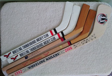 Wheeling Nailers Thunderbirds ECHL Hockey Game Promo Mini Stick Lot