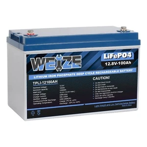 Weize 12V 100Ah LiFePO4 Lithium Battery, Built-in Smart BMS, Low Temperature ... - Picture 1 of 7