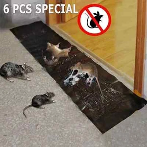 6 Pack Large Mice Mouse Glue Traps Rodent Catcher Rat Board Indoor Super Sticky - Picture 1 of 8