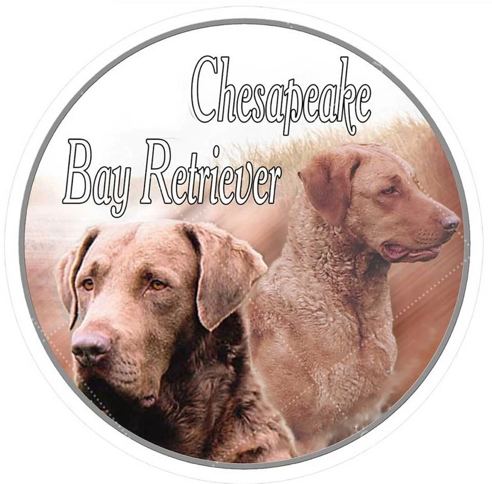 Aufkleber Motiv 1 Chesapeake Bay Retriever Retriver Autoaufkleber Sticker - Bild 1 von 1