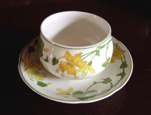 Salsa V&B GERANIO muy buena VILLEROY&BOCH - Imagen 1 de 2