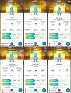 Machop XXL 1,35 - 1,40m | Für Ausstellungen | Pokemon Trade Go✨ - Bild 1 von 2