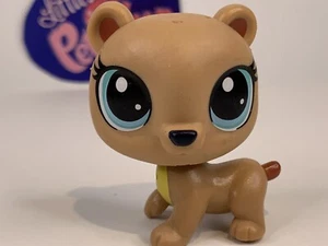 Odessa Bär #327 - Authentische kleinste Haustierhandlung - Hasbro LPS - Bild 1 von 4