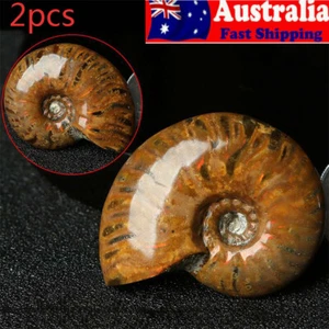 2X Fashion Natural Iridescent Ammonite Ammolite Facet Specimen Fossil Madagascar - Picture 1 of 10
