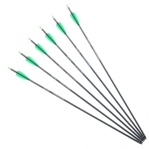 Flechas de carbono puro de tiro con arco de 28" 30"" 31" Spine300 400 arco caza tiro al blanco - Imagen 1 de 9