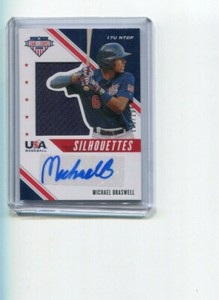 2020 Stars and Stripes 17U Team Silhouettes Michael Braswell Auto Jersey 139/199