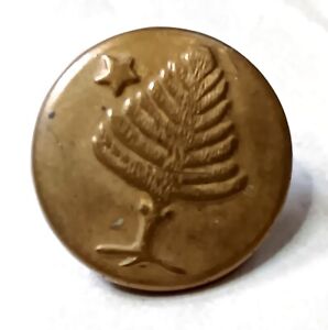 Maine Civil War Brass Button Pine Tree And Five Pointed Star