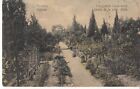 Batum. City garden, alley. Caucasus, Georgia. 1900s. Postcard.
