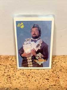 WWF/WWE Classic Trading Cards- 1990, 16 Card Mixed Lot, DiBiase, Duggan, Rockers - Picture 1 of 17