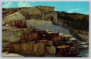Postcard Wyoming Yellowstone National Park Minerva Terrace Mammoth Algae c1960s - Picture 1 of 2