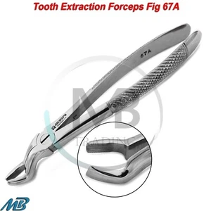 Pinzas dentales de extracción dental Fig.67A alicates dentistas de eliminación de sabiduría molar superior - Imagen 1 de 5