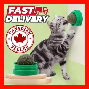 Catnip Wall Ball Interactive Toy Cat Stick-on Treat Natural Digestive Aid Snack - Picture 1 of 10
