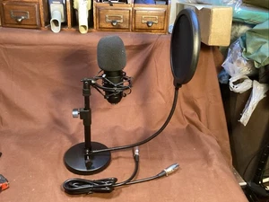 Large-Diaphragm Condenser Mic Bundle Pop Filter & XLR Cable - Picture 1 of 9