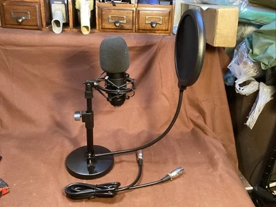 Large-Diaphragm Condenser Mic Bundle Pop Filter & XLR Cable - Image 1 of 4