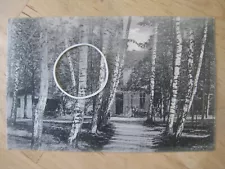 alte postkarte wusterhausen dosse litho um 1900 ansichtskarte ostprignitz ruppin