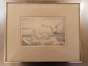 Vella Strand Signed Print 'Canada Goose' #4/6 1975 Framed - Picture 1 of 6