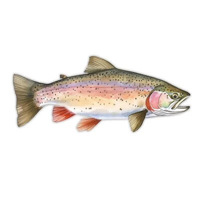 BLACK DIAMOND ART Rainbow Trout Sticker Fishing Vinyl Stickers Decal Brown Car Truck Bumper RV SUV