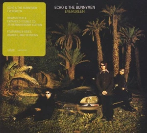 Echo & The Bunnymen - Evergreen - Picture 1 of 1