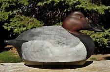 MINT RARE INCREDIBLE c1958 RALPH JOHNSTON Solid Cedar CANVASBACK Wood Duck Decoy