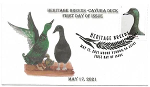 2021 Heritage Breeds - Cayuga Duck Stamp First Day of Issue - Picture 1 of 2