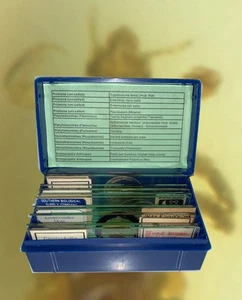 PARASITE Microscope Slide Set DEADLY DISEASE Insect WHOLE MOUNT Helminth Worm - Picture 1 of 7