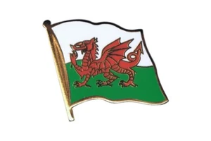 Wales Flaggen Pin Fahnen Pins Fahnenpin Flaggenpin Anstecker - Picture 1 of 1