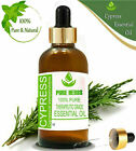 Pure Herbs Cypress 100% Pure & Natural Cupressus sempervirens Essential Oil