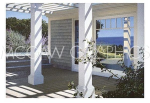 Transitions Deck, Alice Dalton Brown, Wall Decor Home Art Print  13" x 19" 1509 - Picture 1 of 2