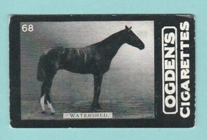 RACEHORSE - OGDENS TABS - GENERAL INTEREST - D SERIES NO. 68  -  1902