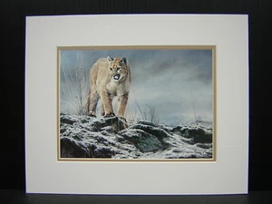 Charles Frace First Snow Cougar Opacato Mini Stampa Artistica - Foto 1 di 1