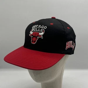 De colección Chicago Bulls Snap Back Hat Back Talk NBA TWINS - Imagen 1 de 6