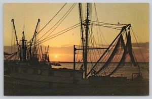 Florida Panhandle Garnelenboot Sonnenuntergang Golf von Mexiko Postkarte - Bild 1 von 2
