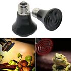 Maintain the Perfect Temperature with Ceramic Heat Emitter Bulb for Reptiles