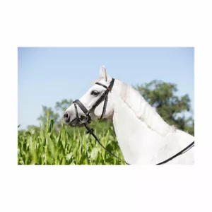 Briglia Snaffle Kieffer Ultrasoft Economy - Foto 1 di 2