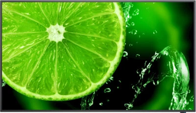 Nec Monitor Professionale 4K UHD con Altoparlanti VGA HDMI e USB C 60005052 - Immagine 1 di 2