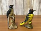 Yellow Belly Blackbird And Black And White Plastic Figure Bird