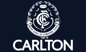 Carlton Blues FC flag 150cm x 90cm NEW - Picture 1 of 4
