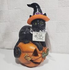 Black Cat With Witch Hat Sitting On lighted Pumpkin 12" LED Halloween New