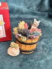 Peter Fagan Colourbox Cat  - Early Bloomers HS427 