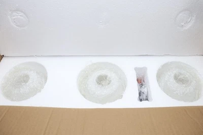 Progress Lighting 3-Light Etched Inside Glass Coastal Bath Vanity Light - Image 1 of 4