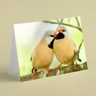 Swee Waxbills Bird Birthday Card Suitable For Husband Dad Brother Friend Family