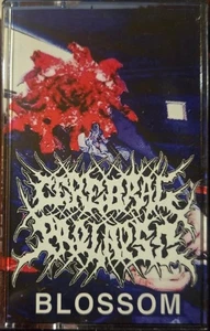 Cerebral Prolapse - Blossom(Tape/2022)GROIN EXORBITANT PRICES MUST DIMINISH - Picture 1 of 1