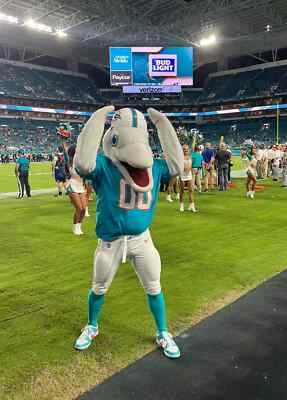 Miami Dolphins vs Las Vegas Raiders 11/17/24 ON FIELD SIDELINE ACCESS PASS SHADE - Image 1 of 3