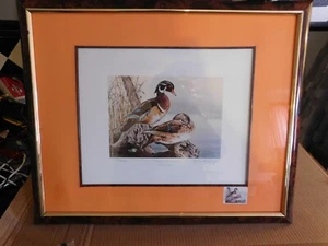 LAWRENCE CORY FRAMED L.E. PRINT "BACKWATER HIDEAWAY" WOOD DUCKS W/1993 STAMP - Picture 1 of 10