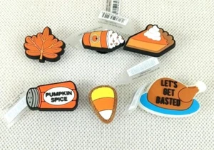 Crocs Nuevo con Etiquetas Otoño Acción de Gracias Juego de 6 Dijes para Zapatos Jibbitz Calabaza Especia Pavo  - Imagen 1 de 3