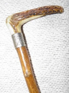 Antiguo bastón/bastón de madera frutal - collar de plata con asta Fritz & Repousse - Imagen 1 de 5