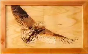 Gufo della neve uccello fauna selvatica natura eco regalo intarsio pannello - Imagen 1 de 15