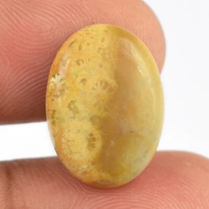 8.5 Cts Natural Fossil Coral Free-Form Cabochon Gemstone Pendant Ring VG151 - Picture 1 of 4